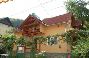  Casa Kiss  Совата